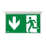 NexiTech LED opal szyba strzałka w dół / strzałka w dół 30m ISO7010 NEXI-PLEXO-DD EATON