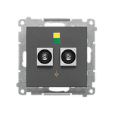 Simon 55 Gniazdo ekwipotencjalne podwójne Grafitowy mat