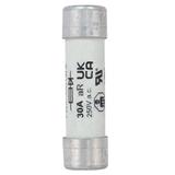 30A 250V AC 14X51mm S/COND FERRULE FUSE Wkładka szybka 30A AC 250V DC 250V 14x51 mm aR UL FWX-30A14F