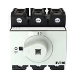P3-100/XM Rozłącznik główny 3P 100A bez przedłużki 172837 EATON