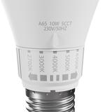 LED GLS E-27 230V 10W 5CCT SPECTRUM