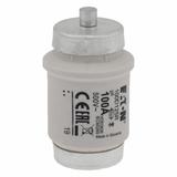 100D125R Wkładka typu D 100A DIV GR 500VAC 100D125R EATON