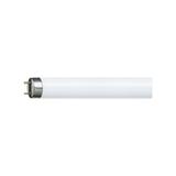 Świetlówka G13 36W 830 TL-D Super 80 PHILIPS