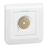 Gniazdo Pilota 1 Funkcyjnego Antybakteryjne 078246L LEGRAND