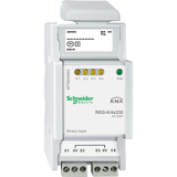Schneider Electric KNX wejście binarne REG-K 4x 230 V 12 mA AC jasnoszary