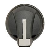 Rączka drzwiowa czołowa i boczna prawa CLBS-EH125/01G 004661417 ETI
