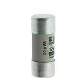 CYLINDRICAL FUSE 22 x 58 125A GG 400V AC Wkładka cylindryczna 22 x 58mm 125A GG 400V AC C22G125 EATO