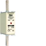 Wkładka bezp. nożowa NH1 wsk.podw. uchwyt nieiz. gG 63A 690 VAC LNH1063M6 HAGER