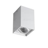 GORD XS DLP-50-W Oprawa sufitowa natynkowa GORD XS DLP-50-W regulowana kolor biały 1XGU10 25477 KANLUX