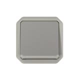 NOWE PLEXO - ŁĄCZNIK DWUBIEGUNOWY MECHANIZM 10 AX - 250V SZARY 069530L LEGRAND