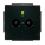 CARAT/FUTURE  Gniazdo wyrównania potencjałów (męskie)  antracyt