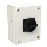 P3-63/SE3/SVB-SW/HI11 Rozłącznik 63A 3P styki 1Z+1R w obudowie ze stali nierdzewnej rączka c 197366