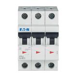 FAZ-K1/3 Wyłącznik nadprądowy 10kA K1A 3P 278902 EATON