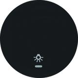 BERKER R.1/R.3 Klawisz z soczewką nadrukowanym symbolem światło do łącznika klaw. pojedyncza czarny