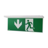 NexiTech LED opal szyba strzałka w dół / zaślepka 20m ISO7010 NEXI-PLEXO-20-DB EATON