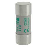 CYLINDRICAL FUSE 22 x 58 2A AM 690V AC Wkładka cylindryczna 22 x 58mm 2A AM 690V AC C22M2 EATON