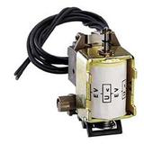 WYZWALACZ WZROSTOWY DPX 24 V AC/DC, Legrand