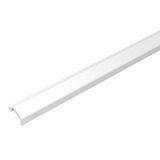 KG2, PROFIL SIATKOWY