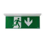 NexiTech LED opal szyba strzałka w dół / strzałka w dół 20m ISO7010 NEXI-PLEXO-20-DD EATON