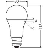 Lampa LED VALUE Classic A100 non-dim plastik 13W 840 E27
