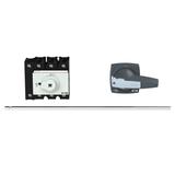 P3-100/M4/N/K2-PG Rozłącznik 4P 100A przedłużka metalowa 400mm 172829 EATON