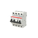 DS203NC C13 AC300 wył. różn.-prąd. z blokiem nadmiarowym