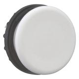 M22-B Zaślepka szara 216388 EATON