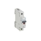 WYŁĄCZNIK NADPRĄDOWY S 301 1P B 25A 6000A SERII TX3, Legrand