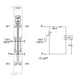 moduł 4DI 120V/230V AC WAGO