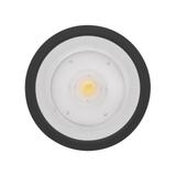 Oprawa DOWNLIGHT SURFACE DN 250 P 45W 830 36D IP65 BK
