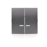 Simon 54 Klawisze z oczkiem do mechanizmów: SW6/2XLM SW7/2XM SW6P1M antracyt