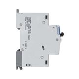 Wyłącznik Różnicowo-Nadprądowy 2P 10A B 0,03A Typ AC P312 DX3 410919 LEGRAND