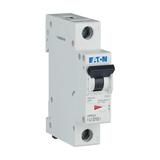 FAZ-D10/1 Wyłącznik nadprądowy 15kA D10A 1P 278580 EATON