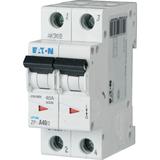 ZP-A40/2 Rozłącznik modułowy 40A 2P 248264 EATON