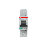 S801N-D10 Wyłącznik nadprądowy 36kA 1P D10A 2CCS891001R0101 ABB