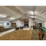 Oprawa hermetyczna DAMP PROOF LED SPECIAL 1500 50W 4000K WT IP67 LEDV LEDVANCE