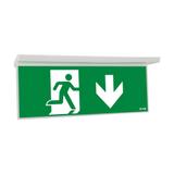 NexiTech LED szyba strzałka w dół / strzałka w dół 20m ISO7010 NEXI-PLEX-20-DD EATON