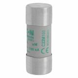 CYLINDRICAL FUSE 22 x 58 100A AM 500V AC Wkładka cylindryczna 22 x 58mm 100A AM 500V AC C22M100 EATO
