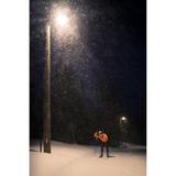 Oprawa uliczna LED STREETLIGHT FLEX SMALL 25W 3000K 730 RV25ST ALW 4058075552272 LEDVANCE