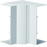 tehalit.BRN65/ BR65 Kąt wewnętrzny 65x170 biały BR651704H9016 HAGER