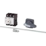 P3-100/M4/K2-PG Rozłącznik 3P 100A przedłużka metalowa 400mm 172827 EATON