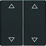 BERKER Q.x Klawisze z nadrukowany symbol strzałki do łącznika 2-klawiszowego antracyt aksamit 164460