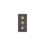 Simon Connect Płytka K45/2 złącz 3x RCA (CINCH) 225x45mm + wkłady zaciski śrubowe szary grafit K105B/14 KONTAKT