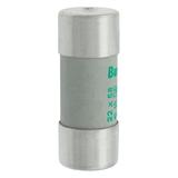 C22M100S Wkładka cylindryczna z wybijakiem 22x58 100A GG 500V AC C22M100S EATON