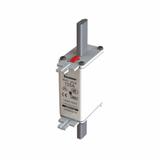 NH FUSE 125A 500V GG/GL SIZE 01 Wkładka NH01 125A 500V GL/GG podwójny wskaźnik 125NHG01B EATON