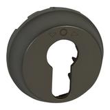 CELIANE - Plakietka do przycisku sterowania rolet na klucz grafitowa, Legrand