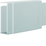 tehalit.LF Element T/X, 40x110mm, jasnoszary LF4011087035 HAGER