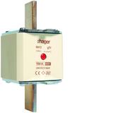 Wkładka bezp. nożowa NH3 wsk.podw. uchwyt nieiz. gTr 231A 400VAC LNH30231M4T HAGER