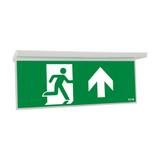 NexiTech LED opal szyba strzałka do góry/ zaślepka 20m ISO7010 NEXI-PLEXO-20-UB EATON