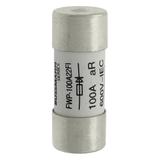 100A 600V 22X58 INDICATED 22 X 58MM 100A 700V 22X58 cylindryczna do półprzewodników wybijak 22 X 58M